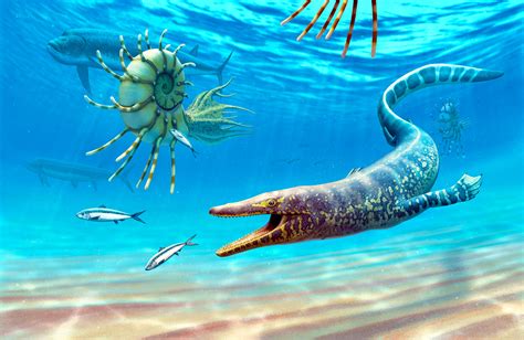 Sarabosaurus Dahli A Newly Discovered Mosasaur Species Provides