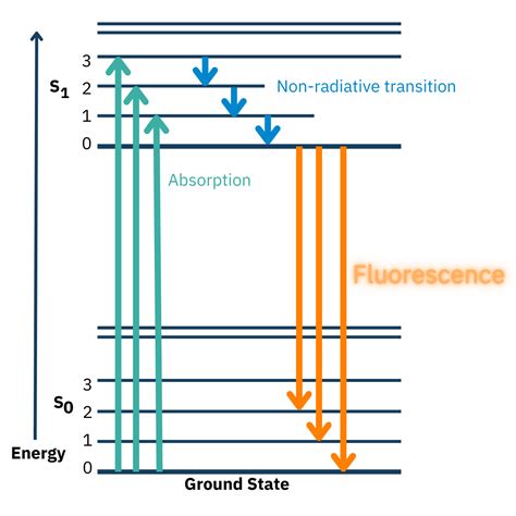 Lighting Up Fluorescence Chemiluminescence And Bioluminescence What