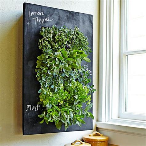 15 Edible Living Wall Ideas For Small Spaces Balcony Garden Web