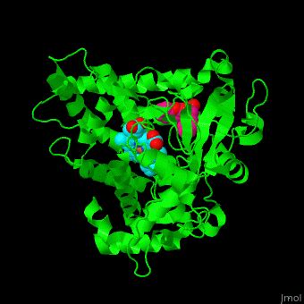 Cytochrome P450 - Proteopedia, life in 3D