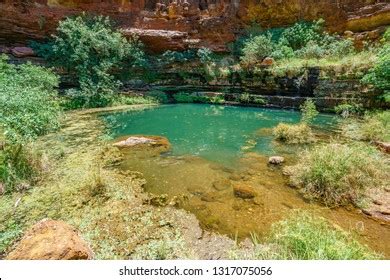 Hiking Circular Pool Dales Gorge Karijini Stock Photo 1317075056