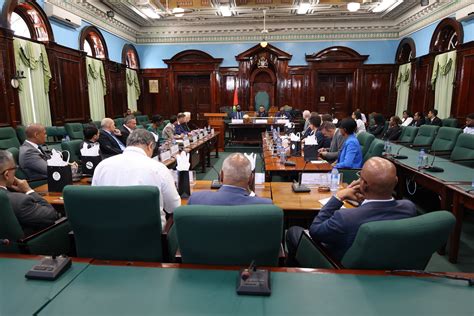 Speaker of the National Assembly Hosts Luncheon and Tour of Public