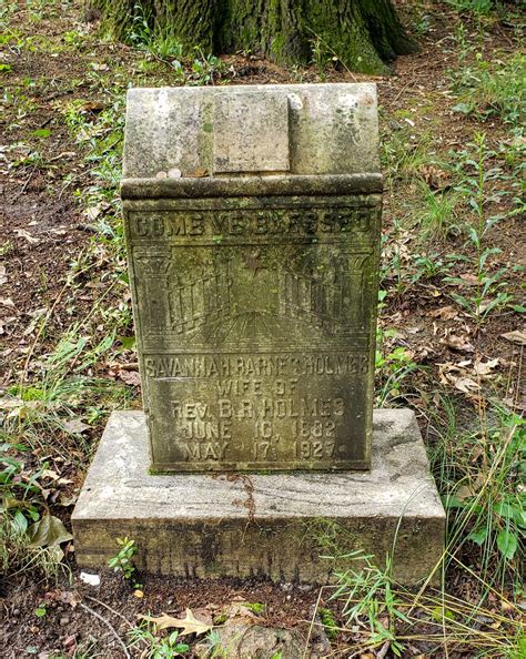 Neighbors worry about the Mount Olive Cemetery expansion plans 12