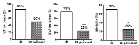 SciELO Brasil Cardioprotective Effect Of Preconditioning Is More