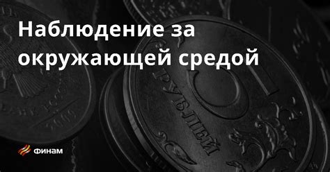 Наблюдение за окружающей средой основные понятия и термины что это такое простыми словами