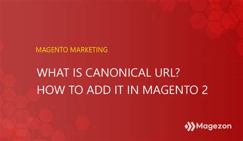 How To Add Canonical In Magento 2 Magezon