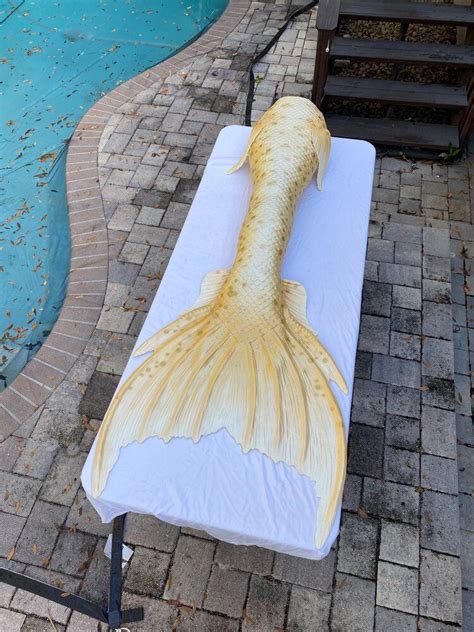 Yellow Mermaid Tail Mermaid Tail Art Rainbow Mermaid Tail Realistic