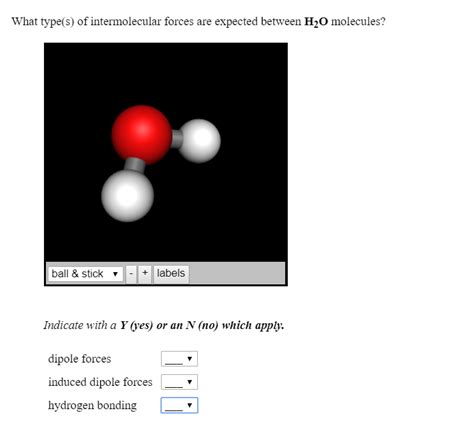 Solved What Type S Of Intermolecular Forces Are Expected Chegg