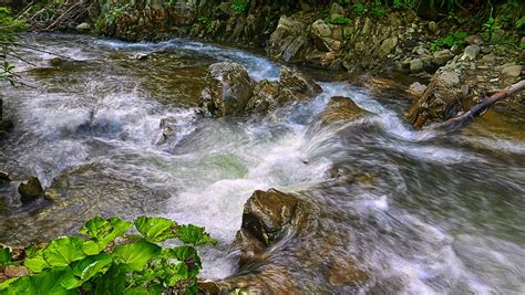 Fluss Bachlauf Bach Kostenloses Foto Auf Pixabay