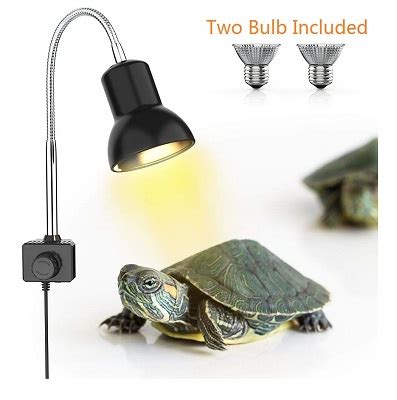 Best Turtle Tank Heater: Our Winner & X Runner-Ups - Toy Pet Reviews