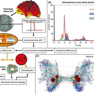 Modified from Stefanovski et al ¹⁷ AβPETdriven brain simulation model