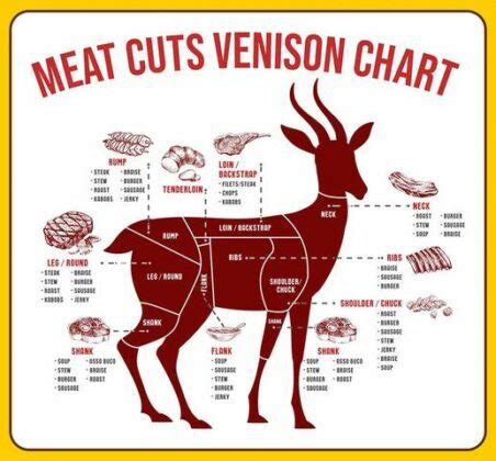 Backstrap Vs Tenderloin In Deer Meat What S The Differences Air