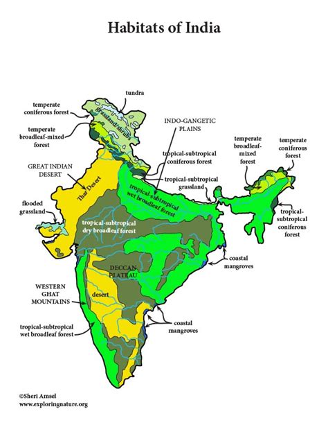 India Habitats Animals And Activities