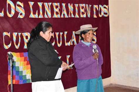 Lineamientos Curriculares Del Pueblo Kolla En La Provincia De Salta Saltaeducs