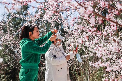 踏青赏花 乐享春光 图片新闻 中国政府网