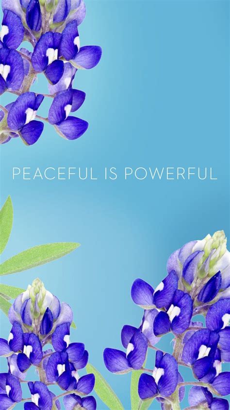 Peaceful Water and Flower Wallpapers - 4k, HD Peaceful Water and Flower Backgrounds on WallpaperBat