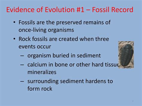 Ppt The Evidence For Evolution Powerpoint Presentation Free Download