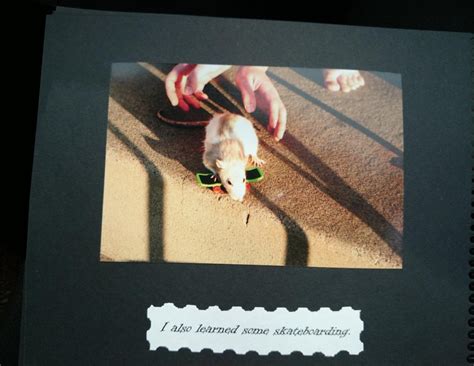 You’ll never meet a rat with a better adventure than this one. – Em is ...