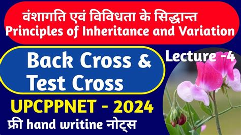 Test Cross And Back Cross Principle Of Inheritance And Variation Th