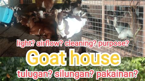 Low Budget Goat House Bahay Ng Kambing YouTube