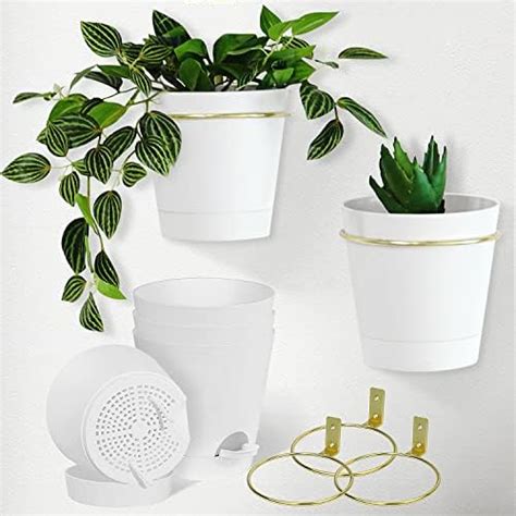 Bouqlife Wall Planters For Indoor Plants Pack Inch Flower Pot