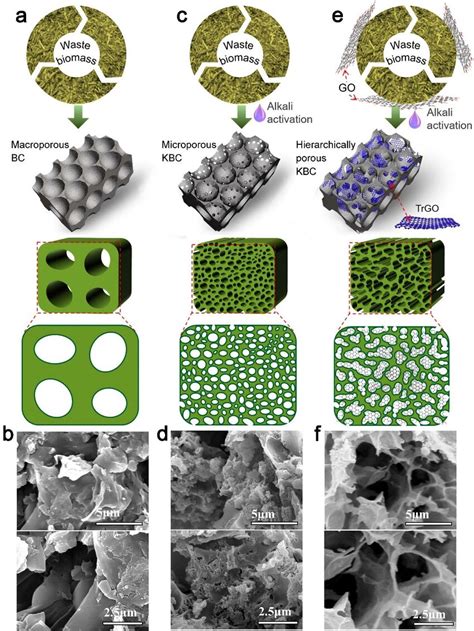 Regulating The Porous Structure Of Biochar Based Adsorbents Derived