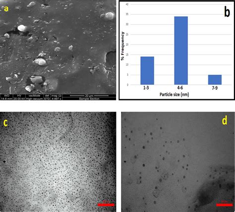 A Fe Sem Analysis C And D Tem Analysis And B Particle Size