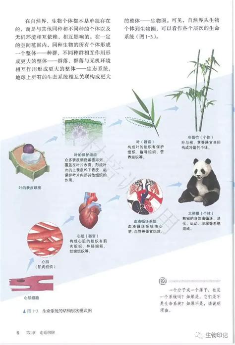 【新版教材】2020最新人教版高中生物教材必修一电子课本 知乎