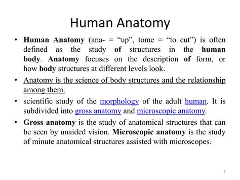 Scope Of Human Anatomy And Physiology Ppt