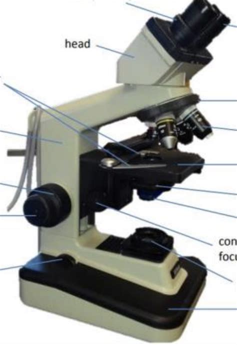 Introduction Of Microscope Diagram Quizlet