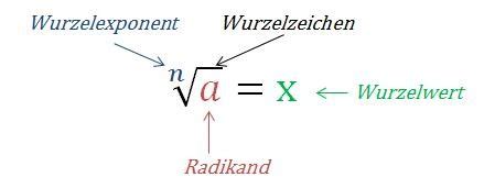 Wurzeln Potenzen Math Phy