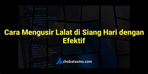 Cara Mengusir Lalat Di Siang Hari Dengan Efektif