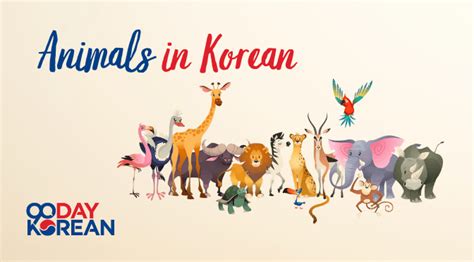 Animals in Korean – Vocabulary for Pets and Wildlife Creatures ...