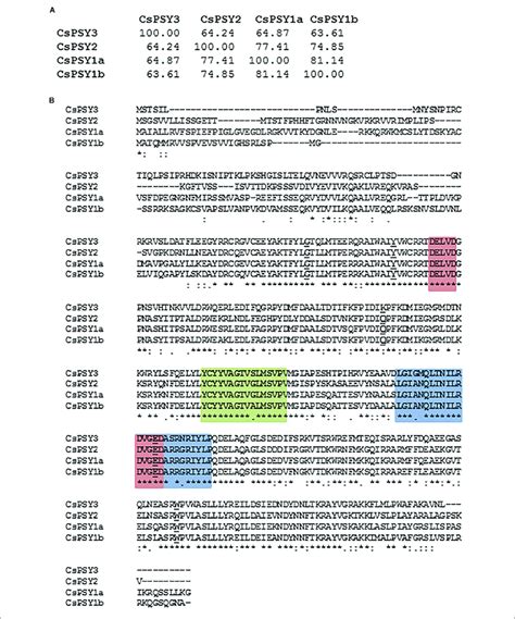 Psy Amino Acid Sequence Similarities A Pairwise Percentage