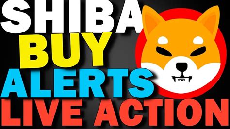 INSANE Shiba Inu Coin News Today Will SHIB Make Millionaires SHIBA