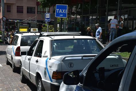 El Ayuntamiento De Santa Cruz De Tenerife Convocar Elecciones Para La