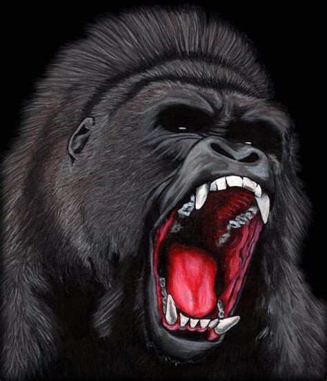 Gorillas Art Gorilla Tattoo African Warrior Tattoos