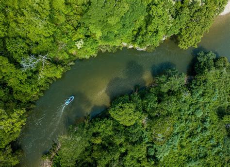 Colombia - at the heart of biodiversity - Vigilife