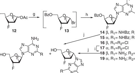 Scheme Reagents And Conditions F Acoh Ac O Concn H So