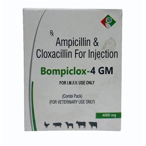 Ampicillin Cloxacillin Injection At Rs 340 Piece Veterinary Medicines