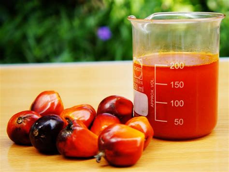 Proses Pengolahan Cpo Crude Palm Oil Minyak Kelapa Sawit