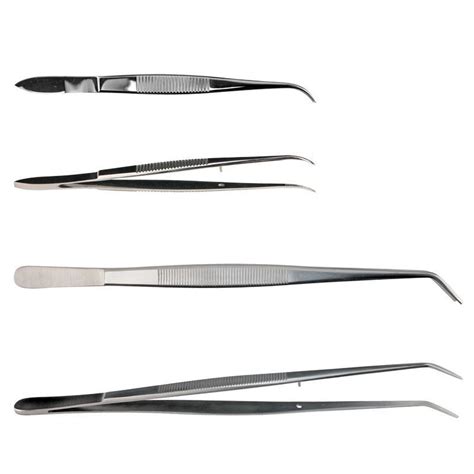 Cg Forceps Tweezers Stainless Steel Dissecting Curved