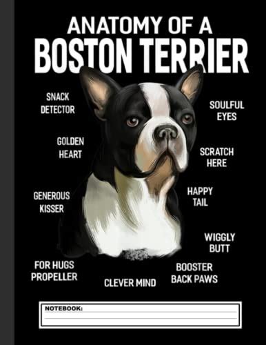 Anatomy Of A Boston Terrier Dog Funny Notebook Boston Terrier Notebook