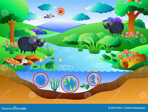 ecosystem diagram stock vector illustration  earth