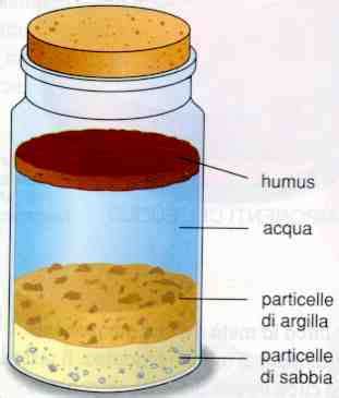 Le Diverse Componenti Del Suolo