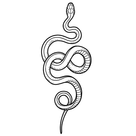 Snake 2 Blackwork Lizzy Dalton Tattoo