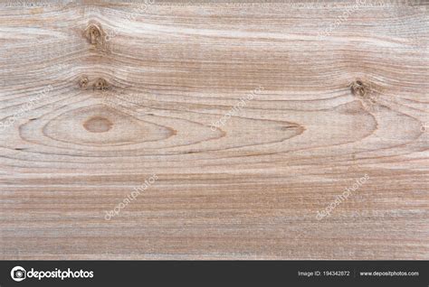 Birch Wood Grain Texture