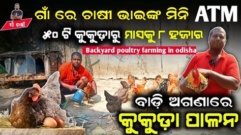 Backyard Poultry Farming In Odisha 50 Birds Investment Income