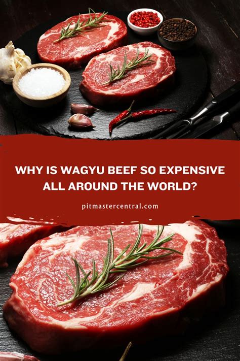 Why Is Wagyu Beef So Expensive All Around The World In 2024 Wagyu