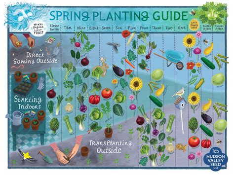 Planting Guide Posters Hudson Valley Seed Company